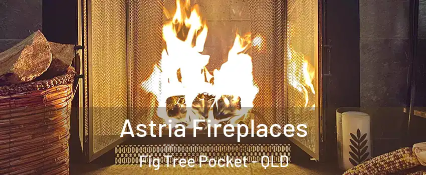 Astria Fireplaces Fig Tree Pocket - QLD