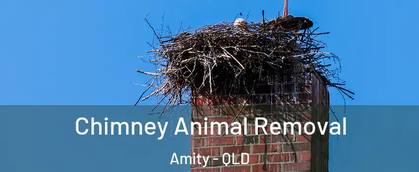 Chimney Animal Removal Amity - QLD