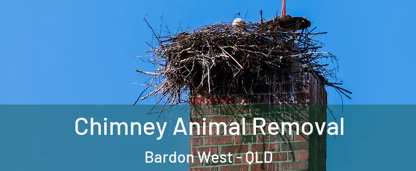  Chimney Animal Removal Bardon West - QLD