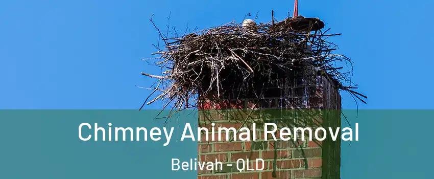 Chimney Animal Removal Belivah - QLD