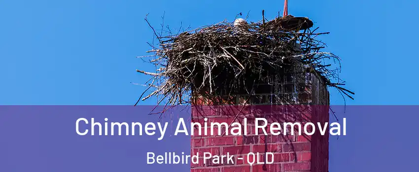 Chimney Animal Removal Bellbird Park - QLD