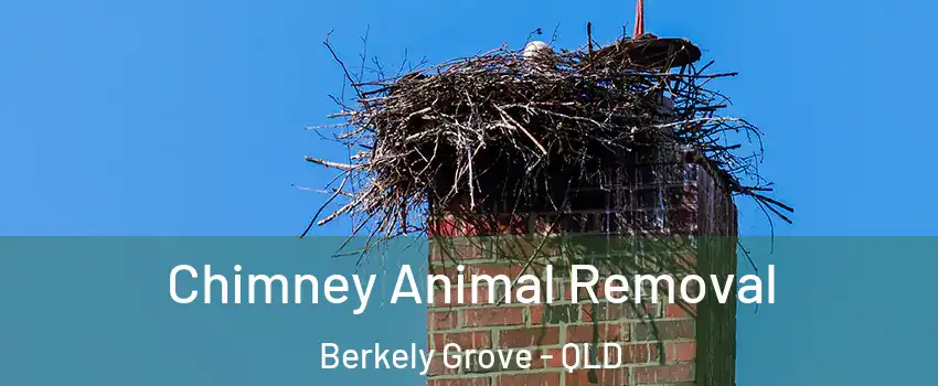 Chimney Animal Removal Berkely Grove - QLD