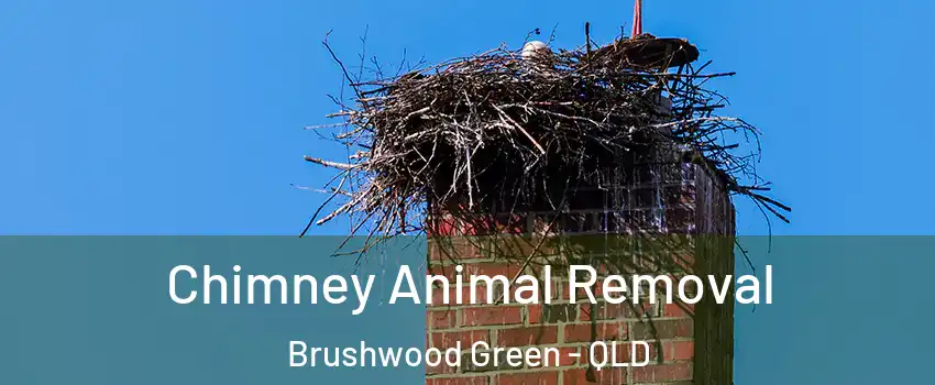 Chimney Animal Removal Brushwood Green - QLD