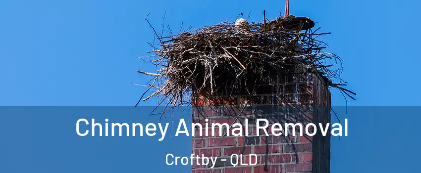 Chimney Animal Removal Croftby - QLD