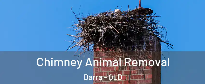 Chimney Animal Removal Darra - QLD