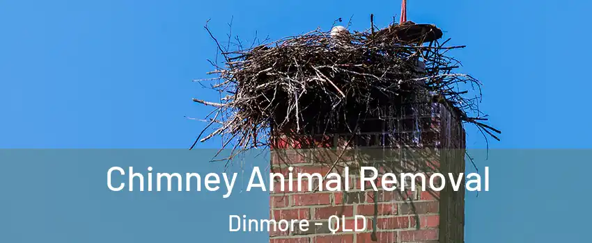 Chimney Animal Removal Dinmore - QLD