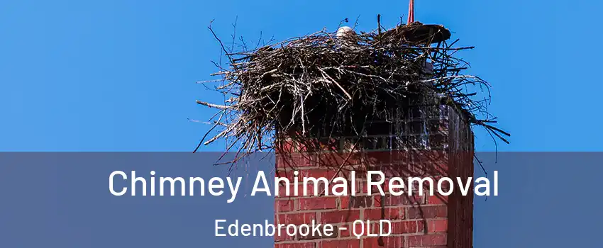 Chimney Animal Removal Edenbrooke - QLD