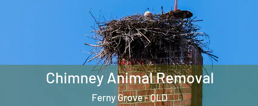 Chimney Animal Removal Ferny Grove - QLD