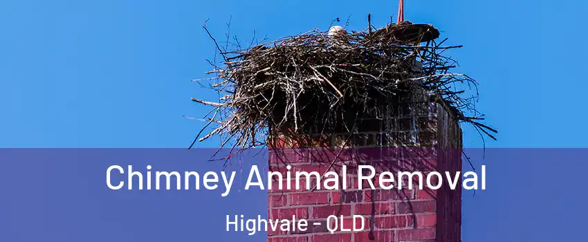 Chimney Animal Removal Highvale - QLD