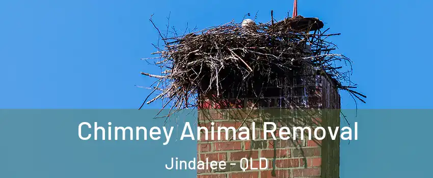 Chimney Animal Removal Jindalee - QLD