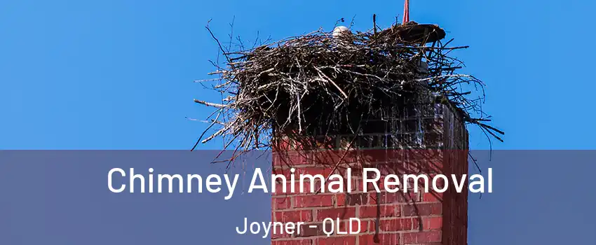 Chimney Animal Removal Joyner - QLD