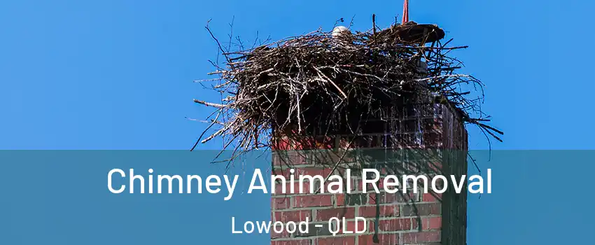 Chimney Animal Removal Lowood - QLD