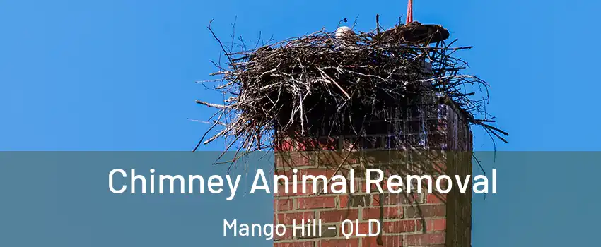 Chimney Animal Removal Mango Hill - QLD