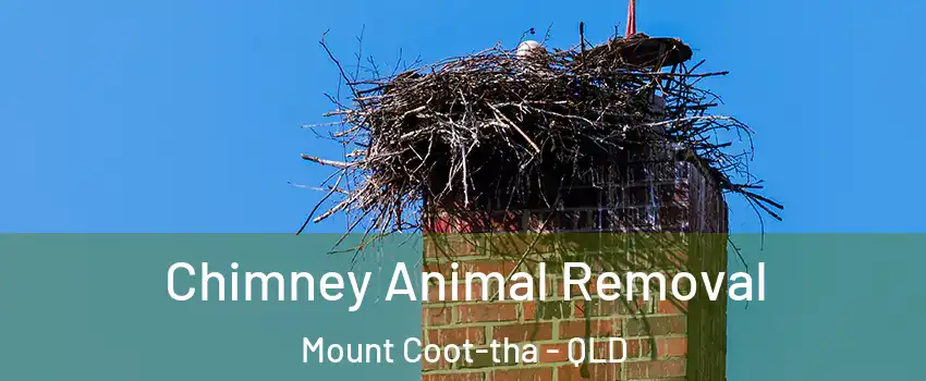Chimney Animal Removal Mount Coot-tha - QLD