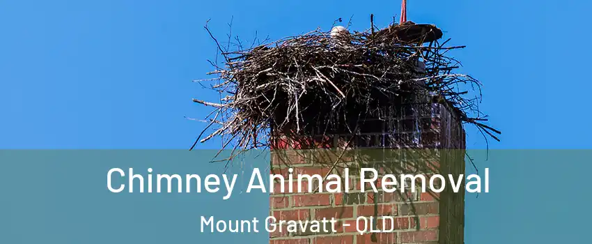 Chimney Animal Removal Mount Gravatt - QLD