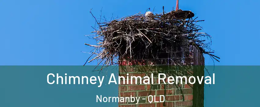Chimney Animal Removal Normanby - QLD