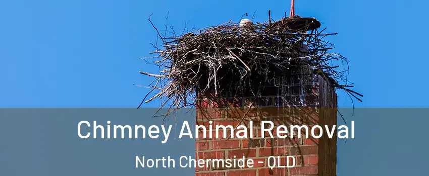 Chimney Animal Removal North Chermside - QLD
