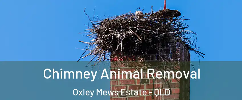 Chimney Animal Removal Oxley Mews Estate - QLD