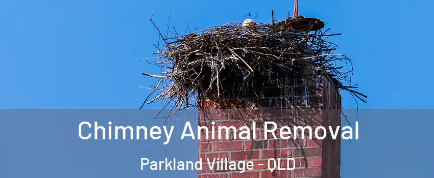 Chimney Animal Removal Parkland Village - QLD