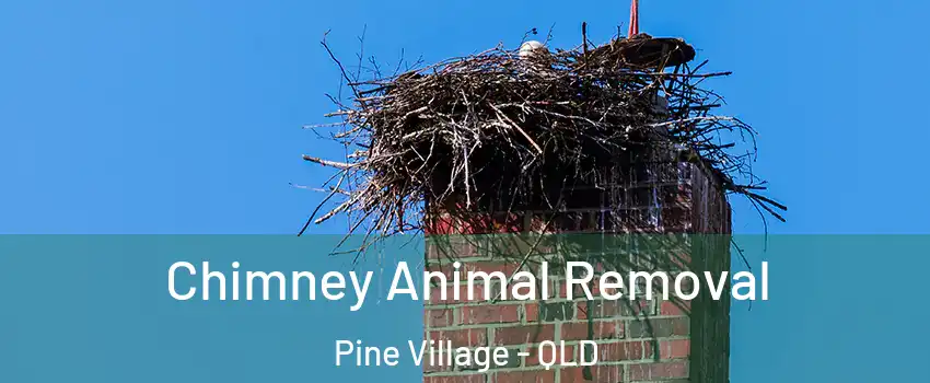 Chimney Animal Removal Pine Village - QLD