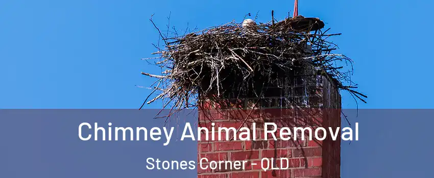 Chimney Animal Removal Stones Corner - QLD