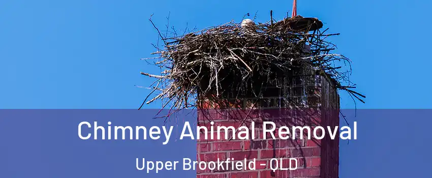 Chimney Animal Removal Upper Brookfield - QLD