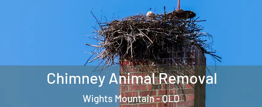 Chimney Animal Removal Wights Mountain - QLD