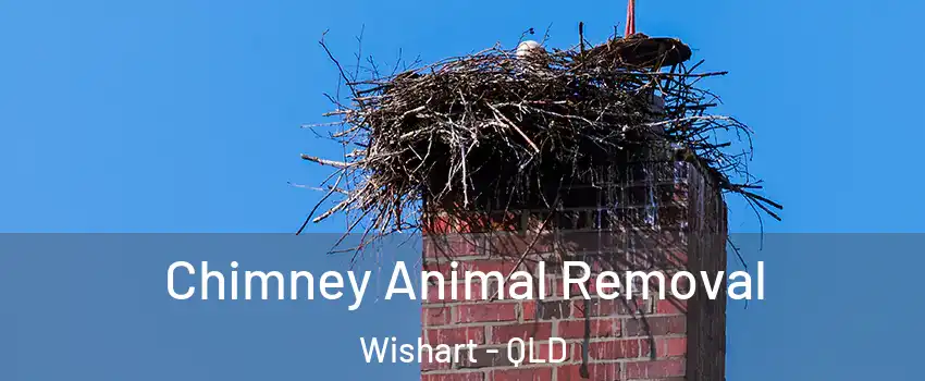  Chimney Animal Removal Wishart - QLD