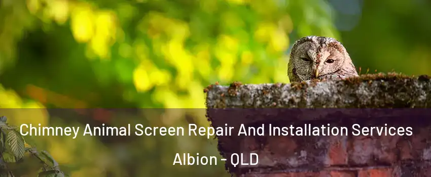 Chimney Animal Screen Repair And Installation Services Albion - QLD
