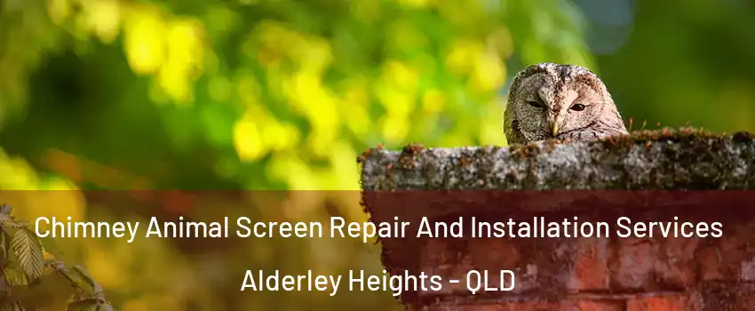 Chimney Animal Screen Repair And Installation Services Alderley Heights - QLD