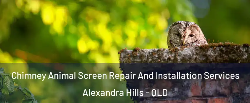 Chimney Animal Screen Repair And Installation Services Alexandra Hills - QLD