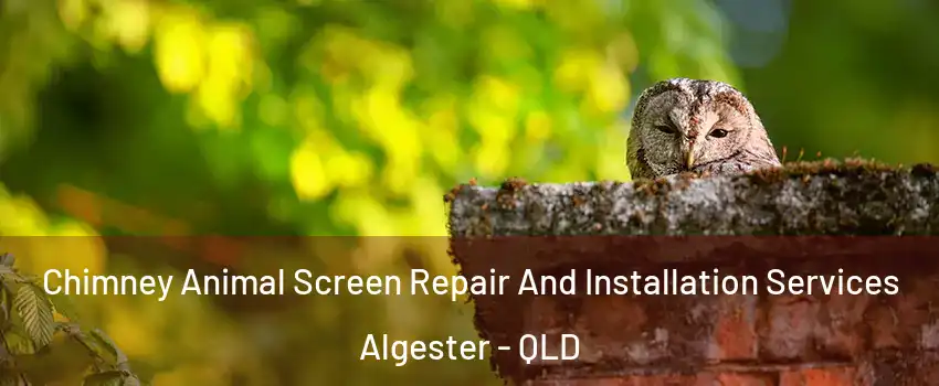 Chimney Animal Screen Repair And Installation Services Algester - QLD