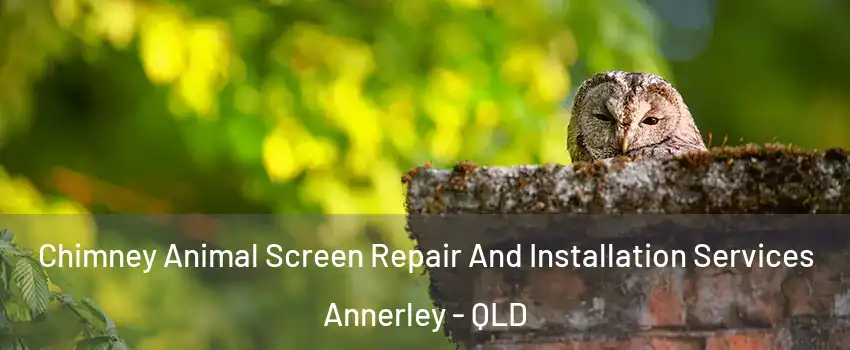Chimney Animal Screen Repair And Installation Services Annerley - QLD