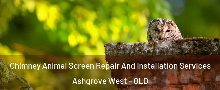 Chimney Animal Screen Repair And Installation Services Ashgrove West - QLD