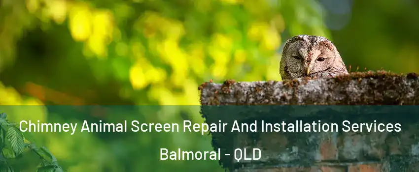 Chimney Animal Screen Repair And Installation Services Balmoral - QLD