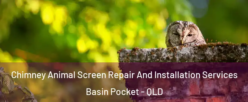 Chimney Animal Screen Repair And Installation Services Basin Pocket - QLD
