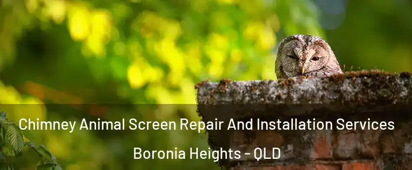 Chimney Animal Screen Repair And Installation Services Boronia Heights - QLD