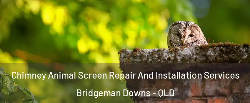Chimney Animal Screen Repair And Installation Services Bridgeman Downs - QLD