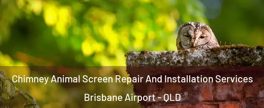 Chimney Animal Screen Repair And Installation Services Brisbane Airport - QLD