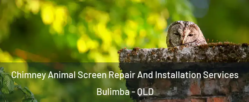 Chimney Animal Screen Repair And Installation Services Bulimba - QLD