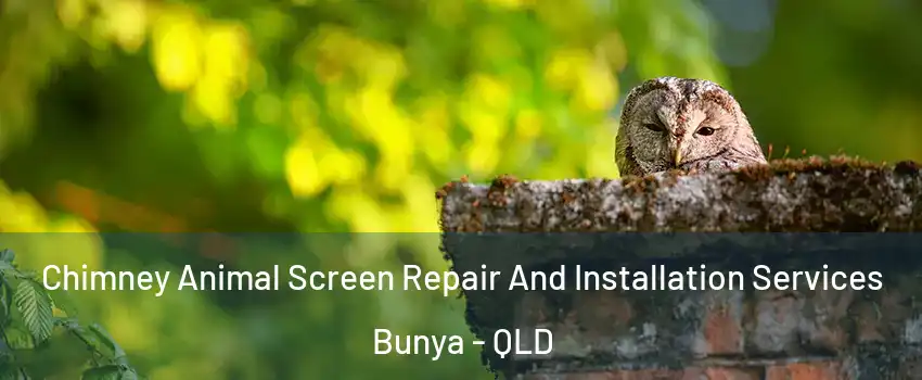 Chimney Animal Screen Repair And Installation Services Bunya - QLD