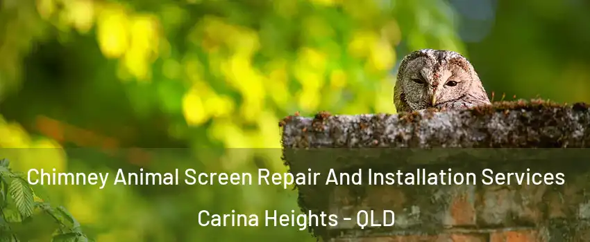 Chimney Animal Screen Repair And Installation Services Carina Heights - QLD