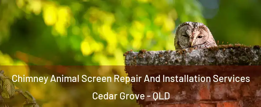 Chimney Animal Screen Repair And Installation Services Cedar Grove - QLD