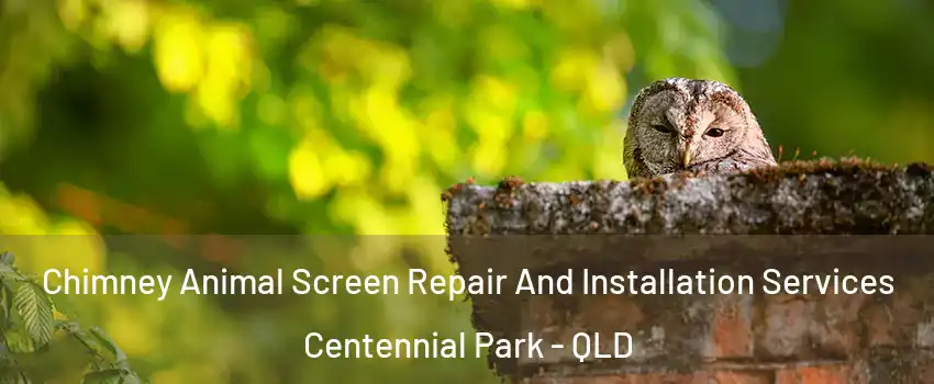 Chimney Animal Screen Repair And Installation Services Centennial Park - QLD