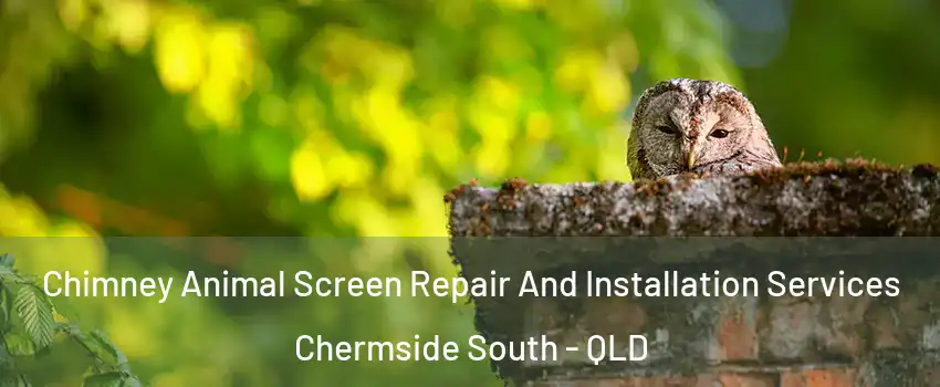 Chimney Animal Screen Repair And Installation Services Chermside South - QLD