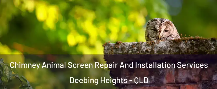 Chimney Animal Screen Repair And Installation Services Deebing Heights - QLD