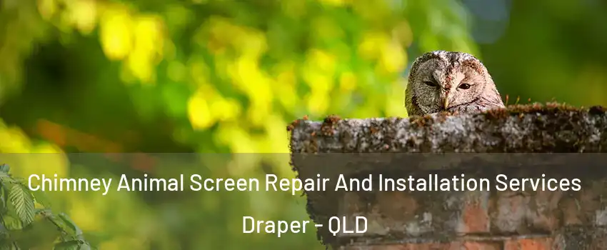  Chimney Animal Screen Repair And Installation Services Draper - QLD