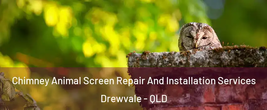 Chimney Animal Screen Repair And Installation Services Drewvale - QLD
