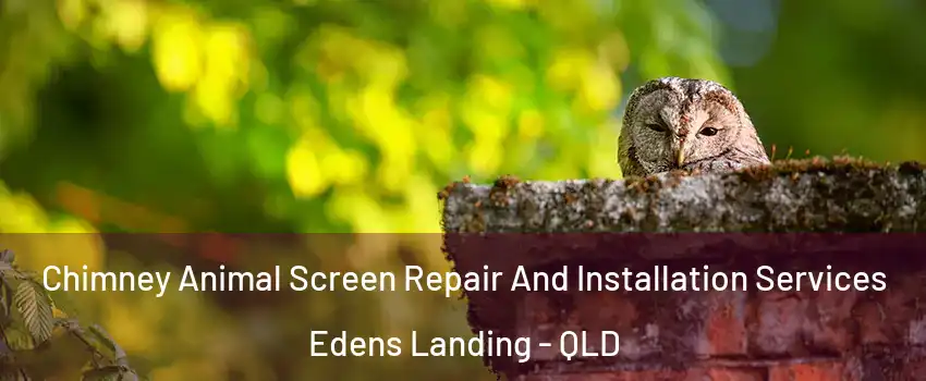 Chimney Animal Screen Repair And Installation Services Edens Landing - QLD
