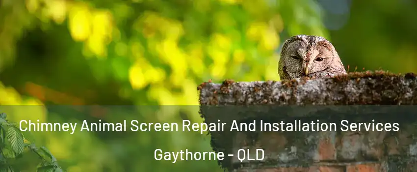 Chimney Animal Screen Repair And Installation Services Gaythorne - QLD